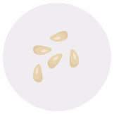 Week 5 Icon