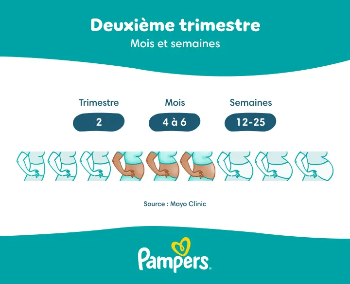 Deuxième trimestre Deuxième trimestre