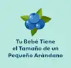 7 Semanas de Embarazo