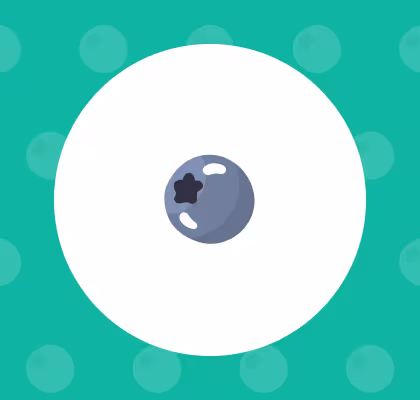 Blueberry icon