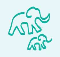 Animales del Bebé