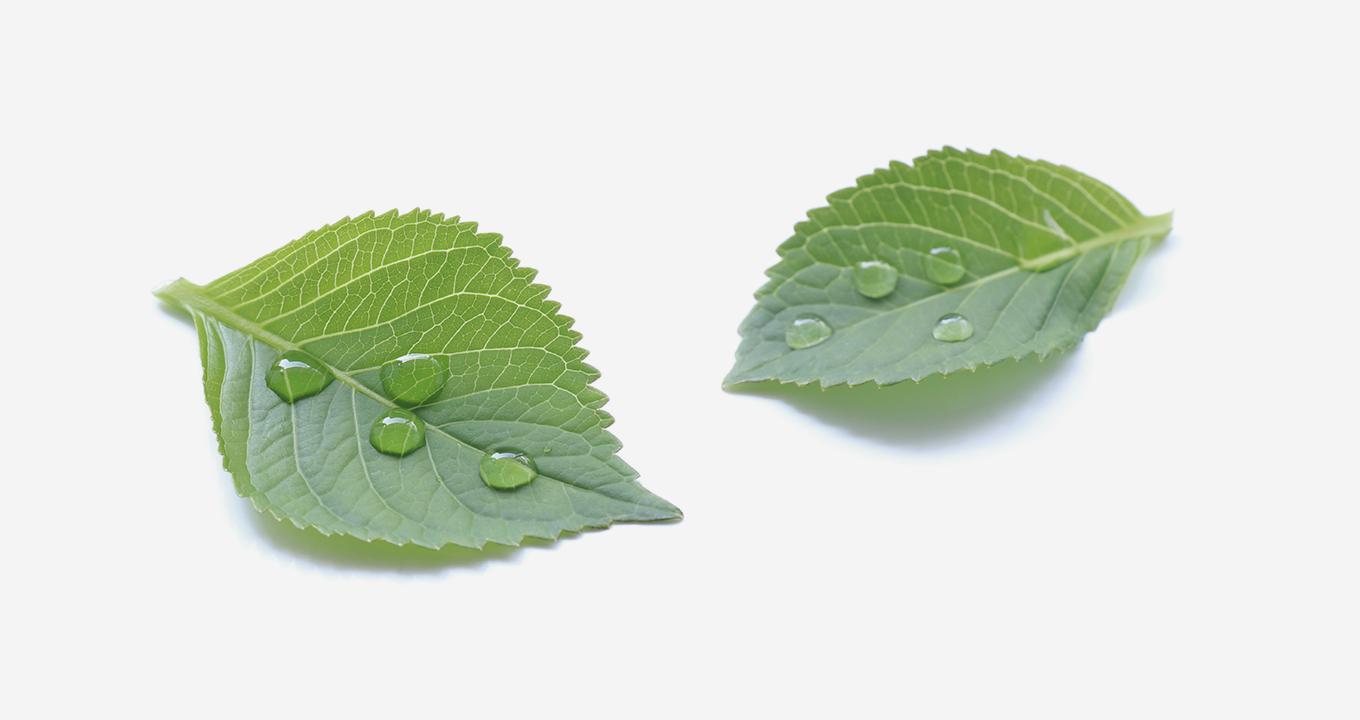 Pampers® Aqua Pure™ 