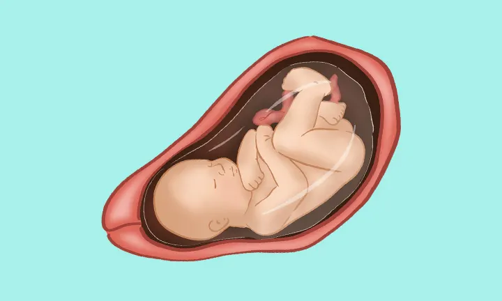 妊娠34週目 妊娠34週目