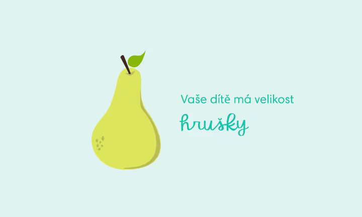 pregnancy-week-by-week-week-17