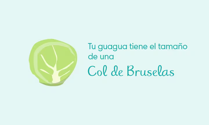 11 semanas de embarazo