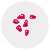 pomegranate seed