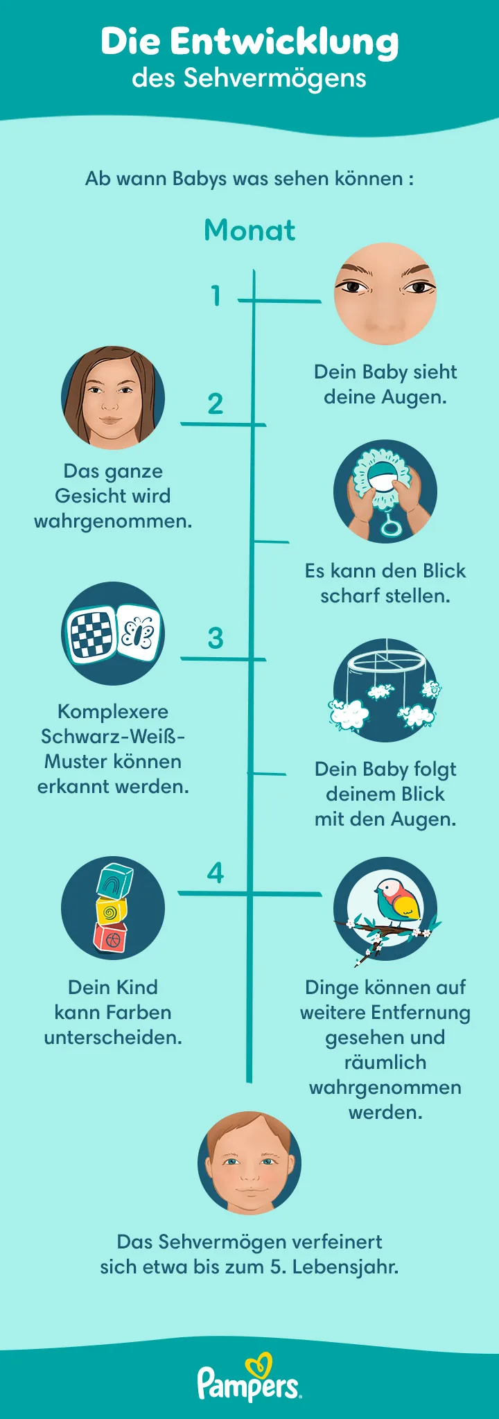 Ab wann Babys was sehen können Ab wann Babys was sehen können