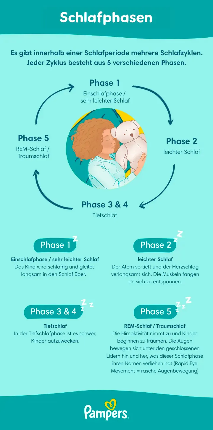 Schlafphasen Schlafphasen