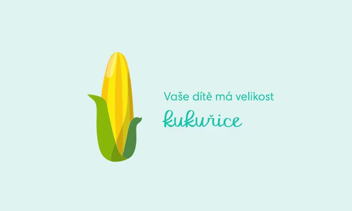 pregnancy-week-by-week-week-24