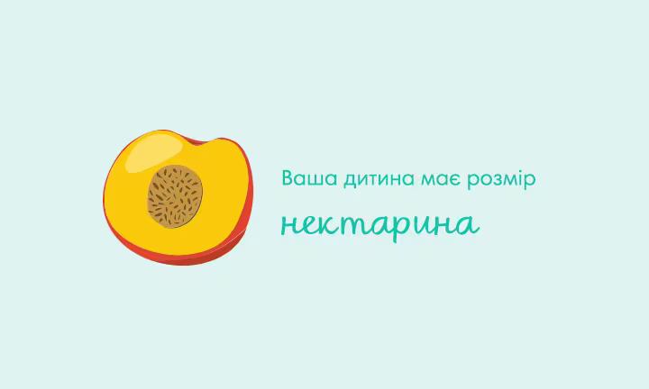 pregnancy-week-by-week-week-14