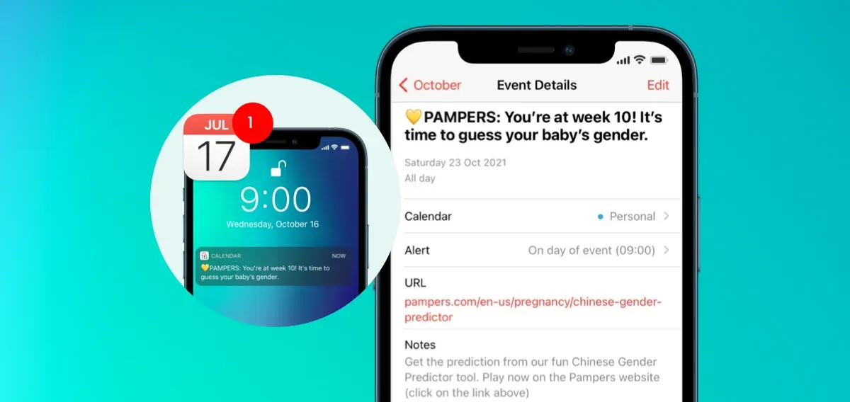 Follow My Pregnancy Notifier example