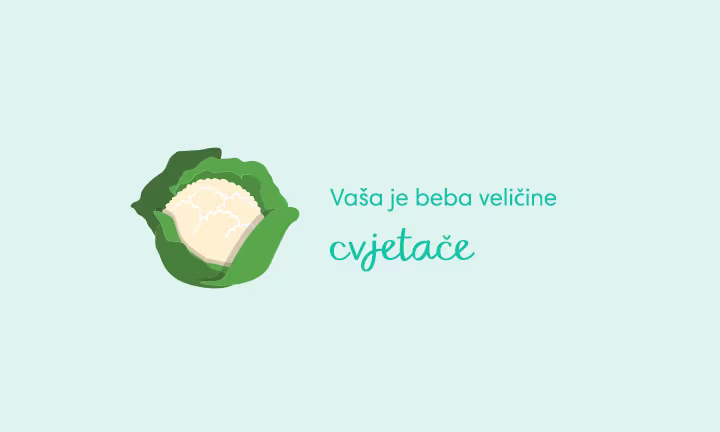 pregnancy-week-by-week-week-27