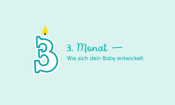 3. Monat