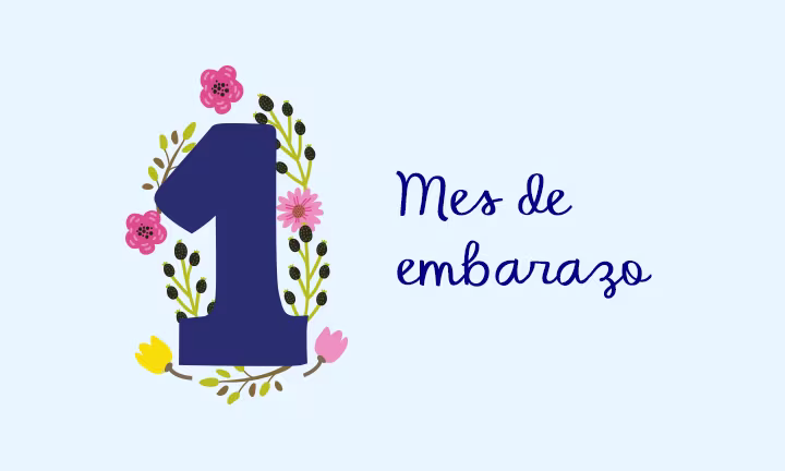 primer mes de embarazo