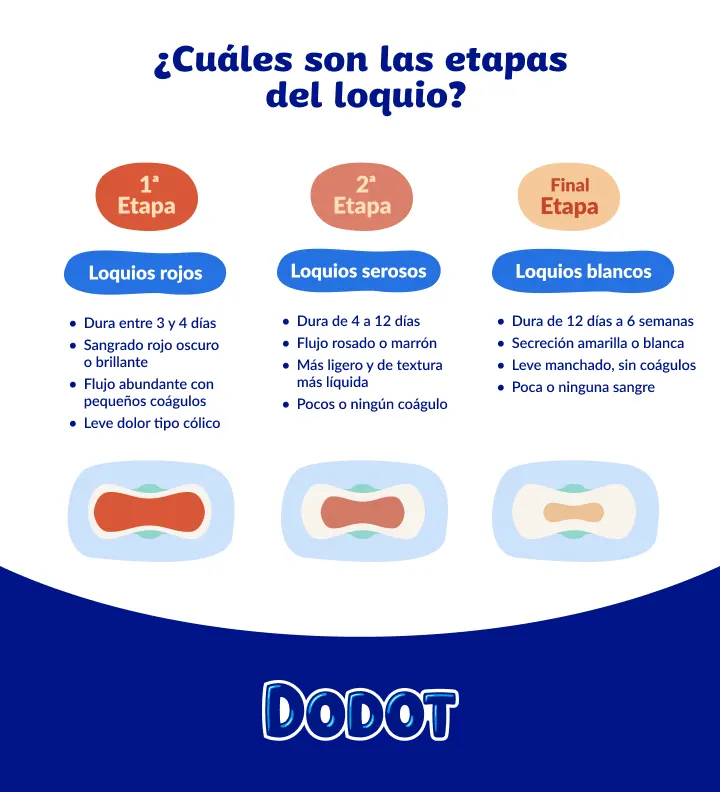 El paso por estas distintas etapas señalan una recuperación normal, pero consulta siempre en caso de cambios preocupantes como sangrado abundante. El paso por estas distintas etapas señalan una recuperación normal, pero consulta siempre en caso de cambios preocupantes como sangrado abundante.