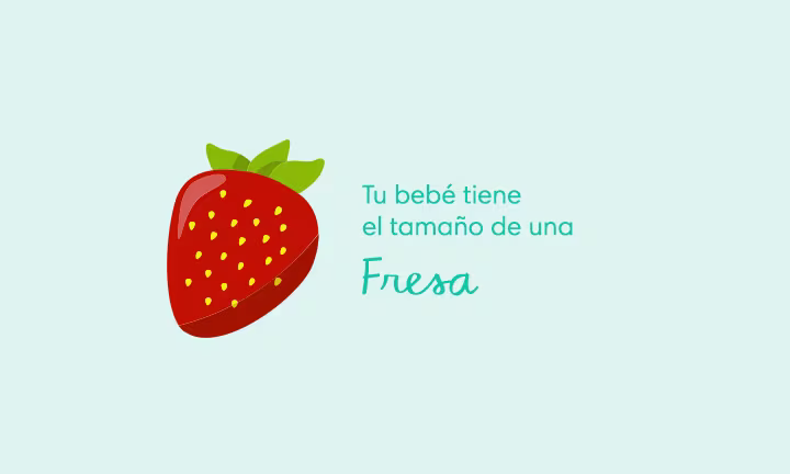 10 semanas de embarazo: Síntomas y desarrollo del bebé