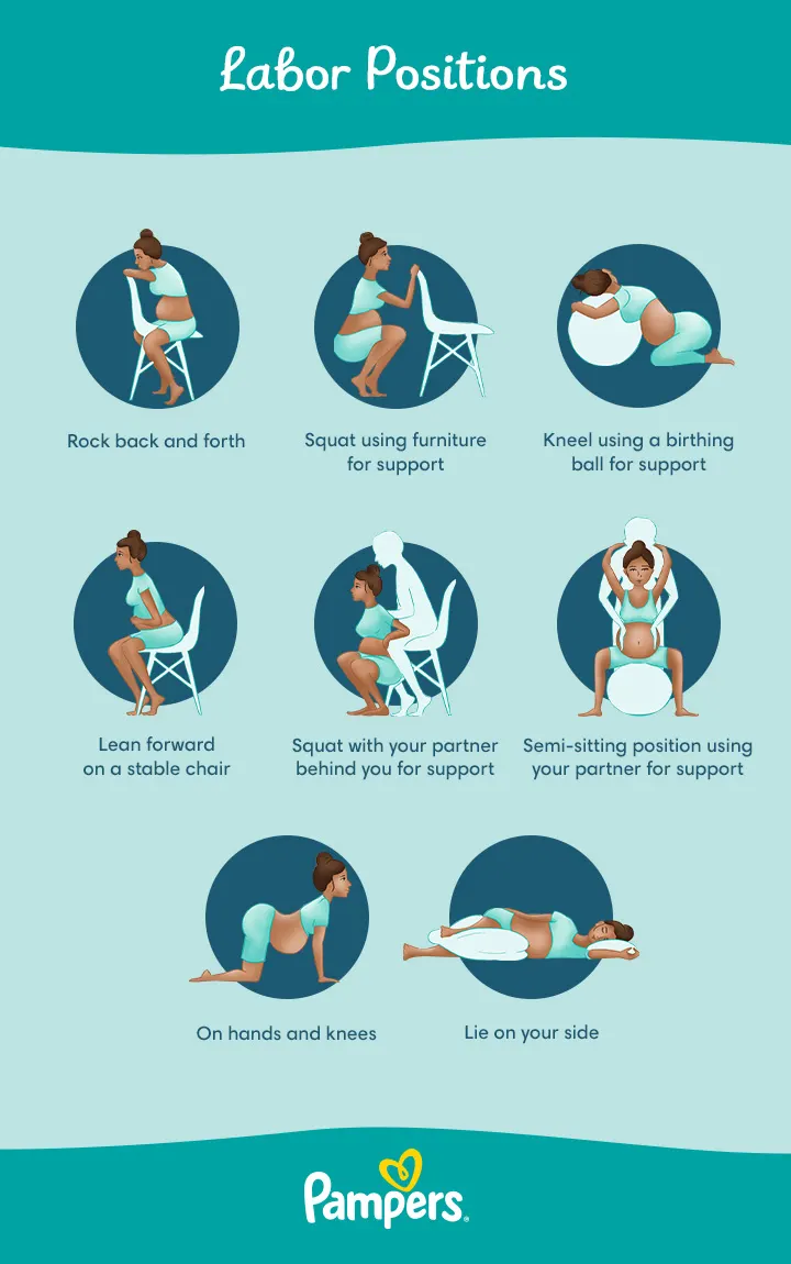 Labor Positions  Labor Positions