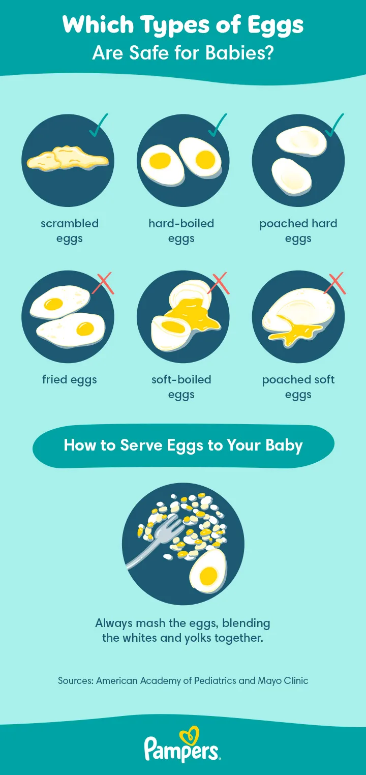 how to introduce eggs to baby
