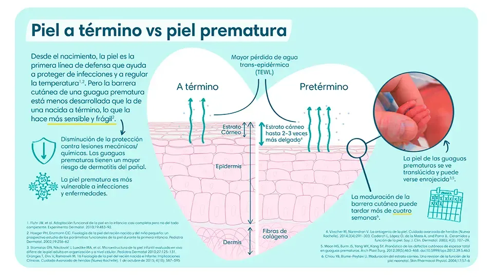 Diferencias de una piel a término vs una piel prematura | Pampers® Chile Diferencias de una piel a término vs una piel prematura