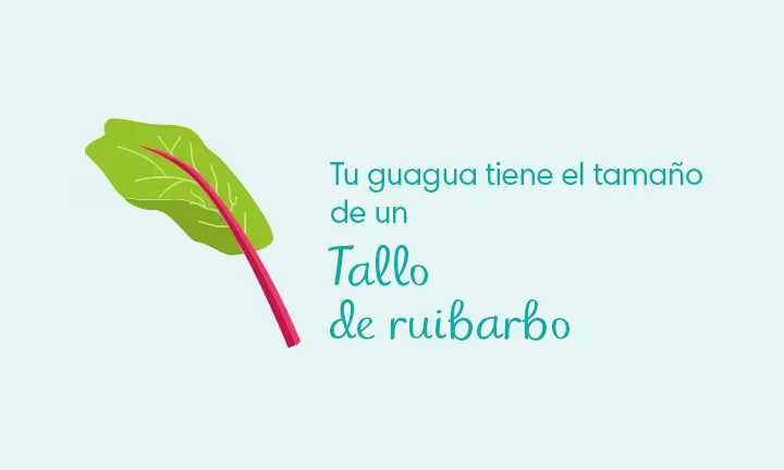 Desarrollo de la Semana 38 de embarazo