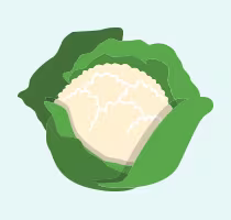 Cauliflower icon