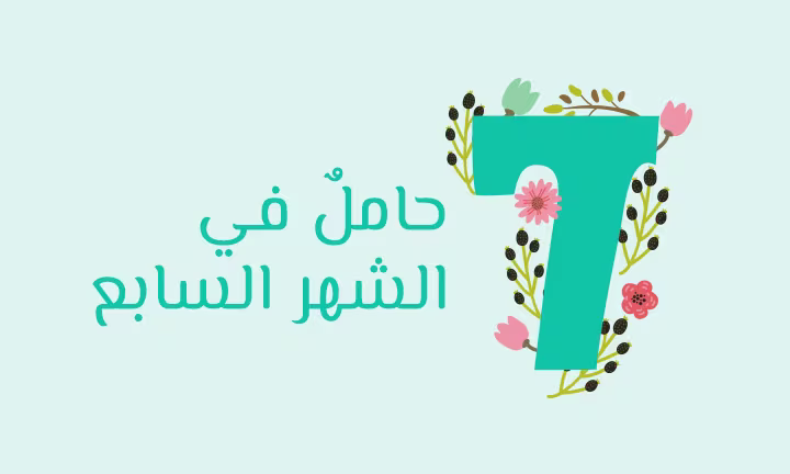 سبعة أشهر من الحمل