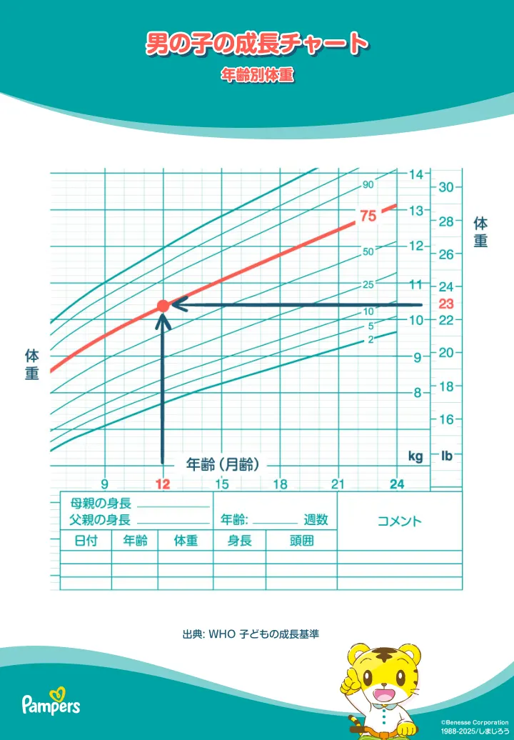 男の子用の赤ちゃん成長曲線