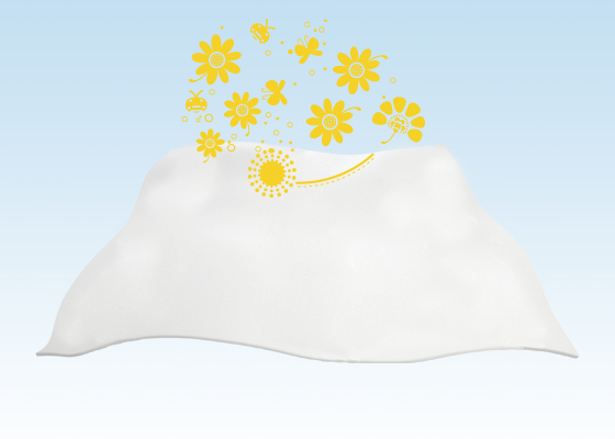 Ehub PampersPE Product-Page-Chamomille SecondaryImage Desktop