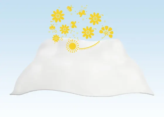 Ehub PampersPE Product-Page-Chamomille SecondaryImage Desktop