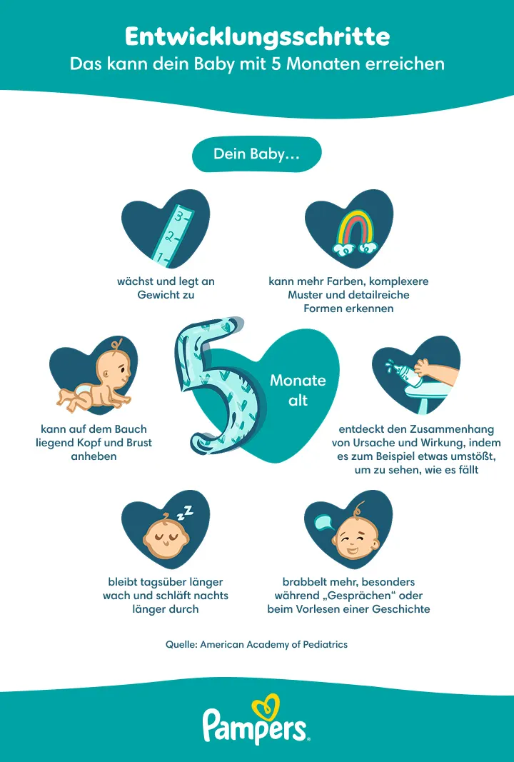 DE 5 Month Baby Infographic DE 5 month baby - infographic - desktop