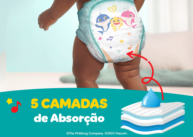5 camadas de absorção