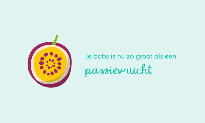 baby size of passion fruit week 12