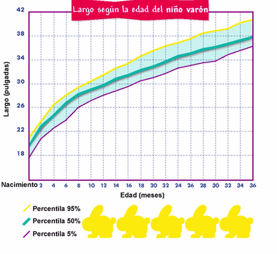 Représentation de la croissance en longueur d'un garçon au fil du temps