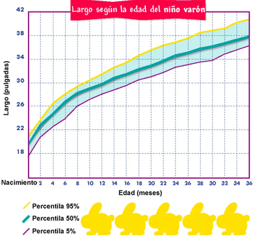 Représentation de la croissance en longueur d'un garçon au fil du temps Représentation de la croissance en longueur d'un garçon au fil du temps