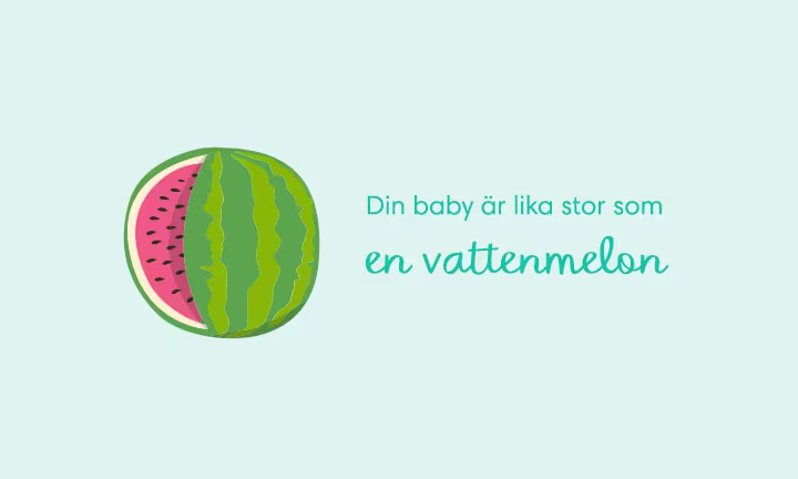 Week 39 pregnancy