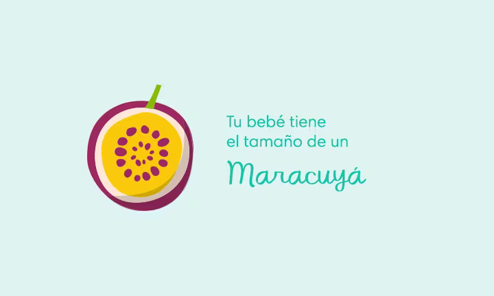 12 semanas de embarazo: Tu bebé tiene el tamaño de un maracuyá
