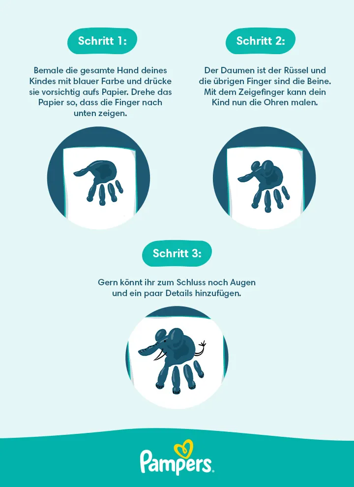 Infografik zu Handabdruck Elefant