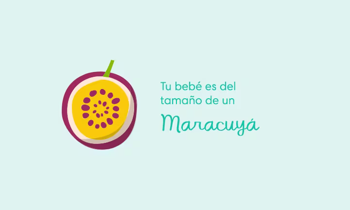 Tu bebé es del tamaño de un maracuyá