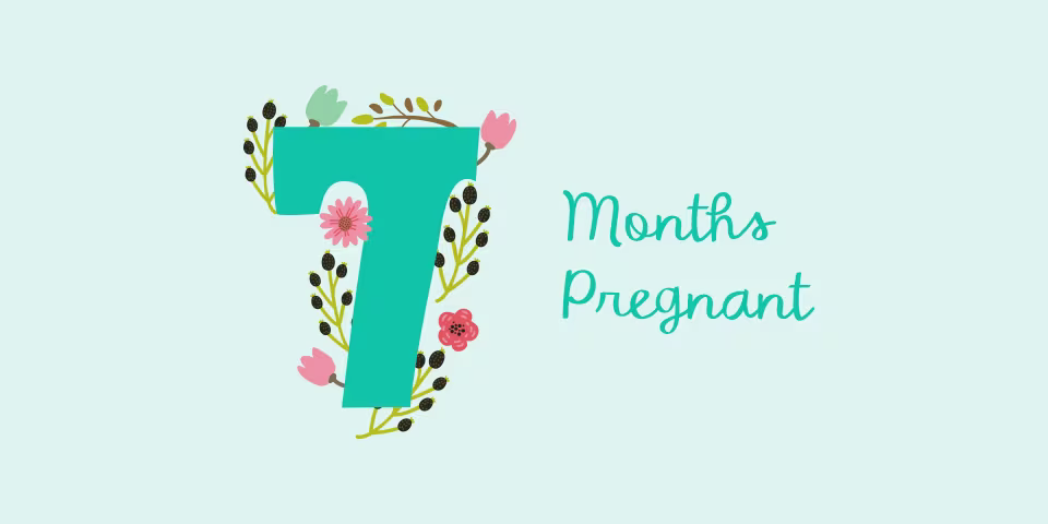 7 months pregnant illustration