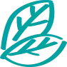 icon2