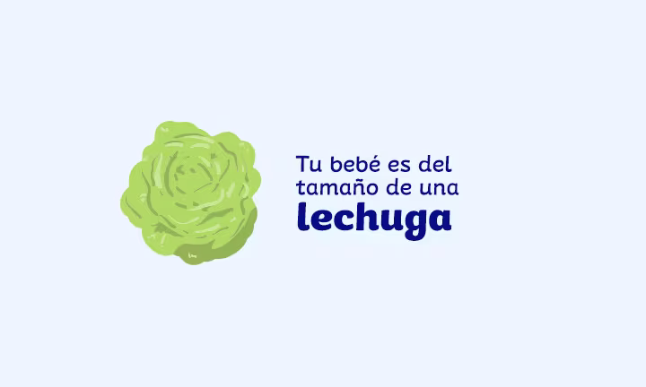 Semana 28 de embarazo