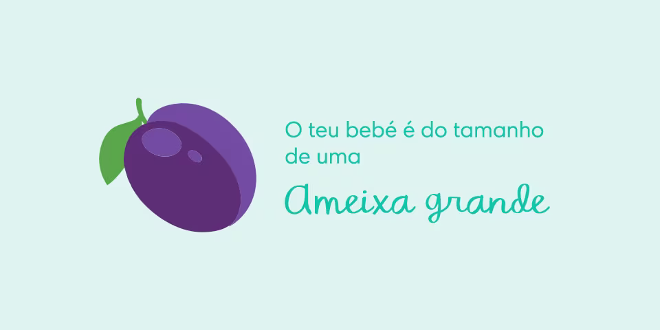 AS10_2