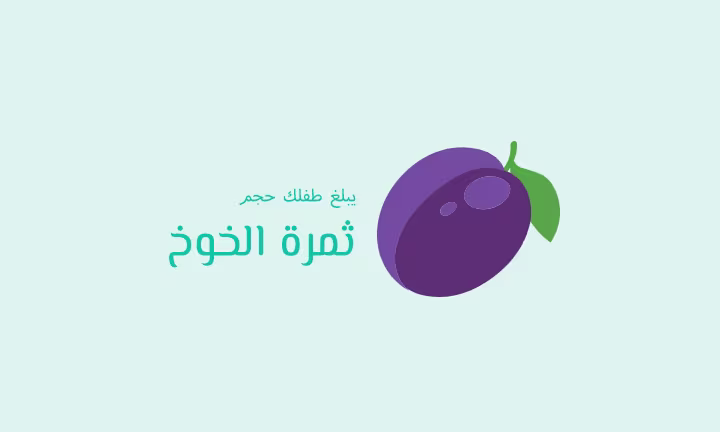 يبلغ طفلك حجم ثمرة الخوخ