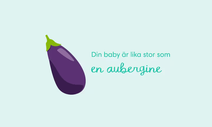 Week 23 pregnancy