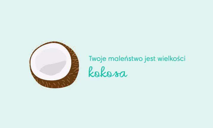 baby size of coconut week 31