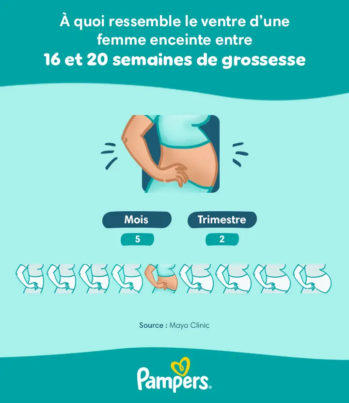 Ventre d’une femme enceinte après 16 semaines de grossesse