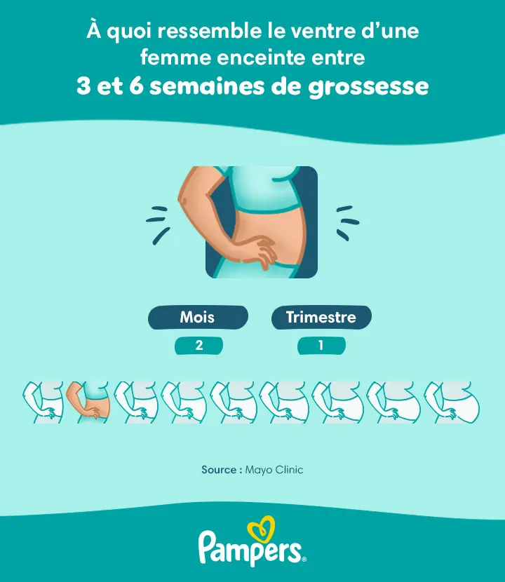 Ventre d’une femme enceinte après 5 semaines de grossesse