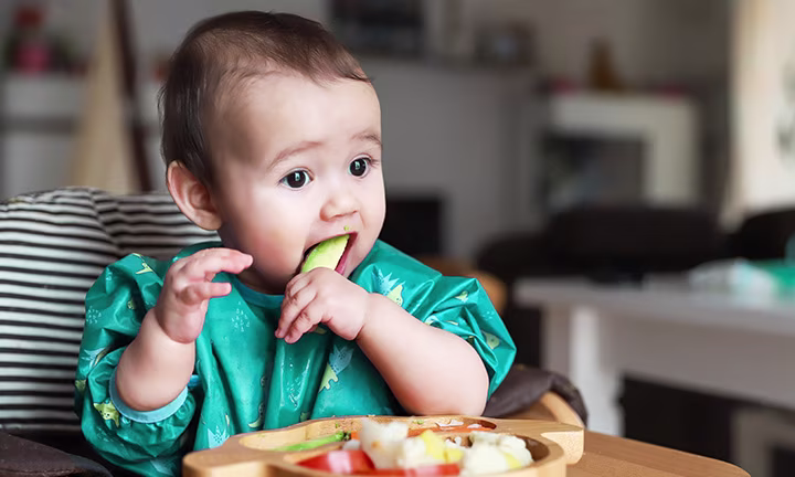 baby led weaning