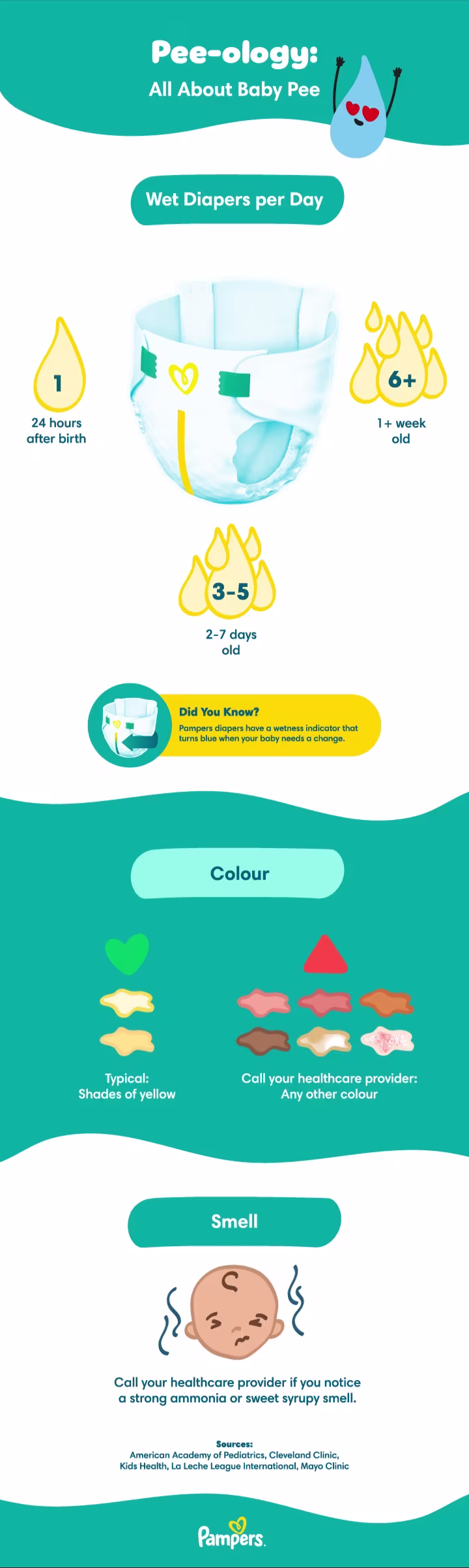 Baby pee infographic with diaper counts and signs of abnormal urine