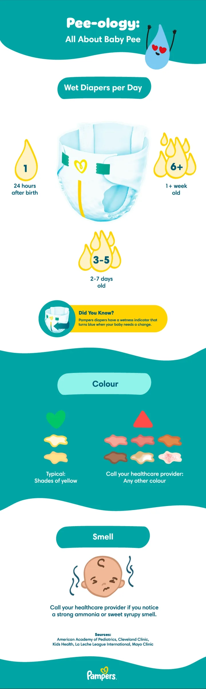 Baby pee infographic with diaper counts and signs of abnormal urine